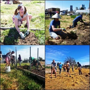 volunteer collage