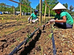 Maklah and Mekdes at the farm