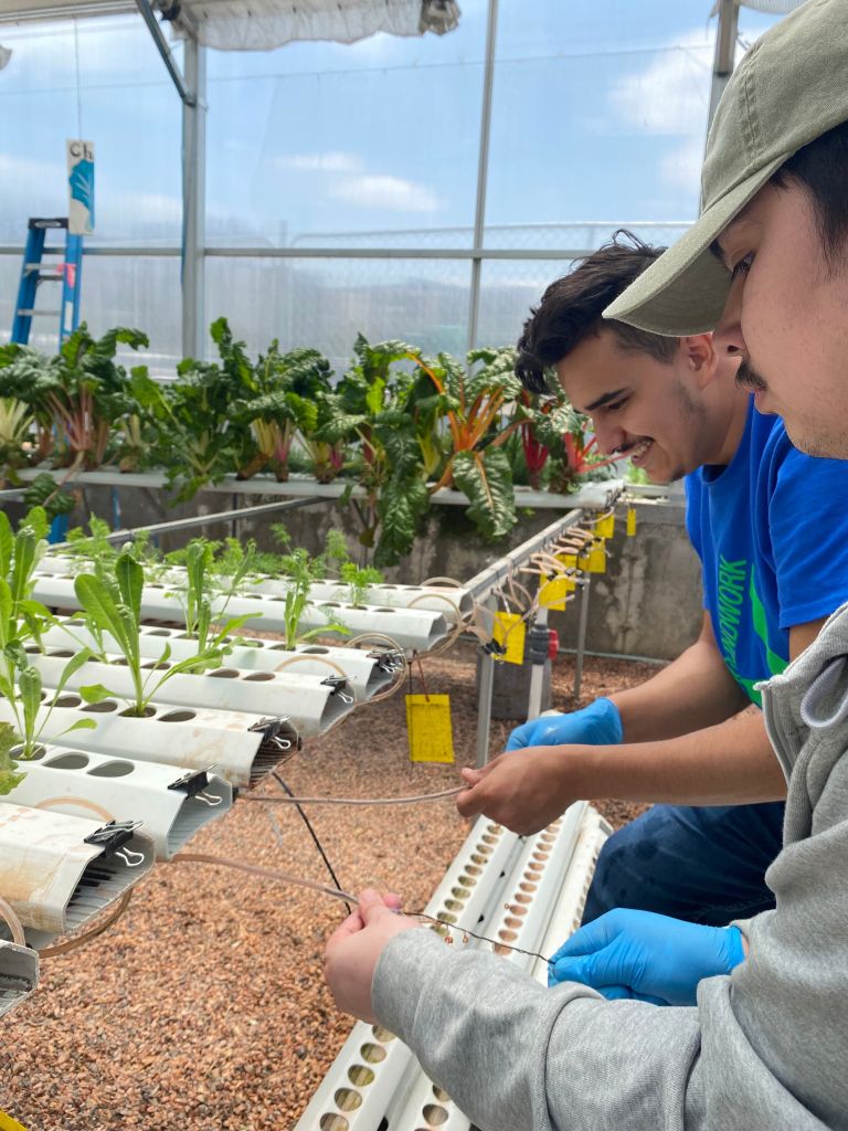 Two young adults smiling in Groundwork Denver's greenhouse. They are working on a tube connected to the hydroponic system.