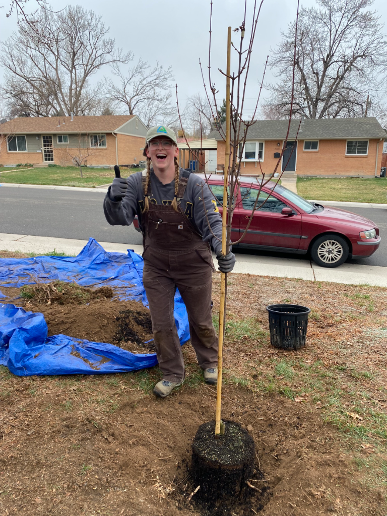 Person in a Groundwork Denver hat and overalls is smiling widely, making a thumbs up, and holding onto a tree they are actively planting.