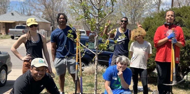 A group is gathered around a tree they just finished planting. They are smiling and looking into the camera.