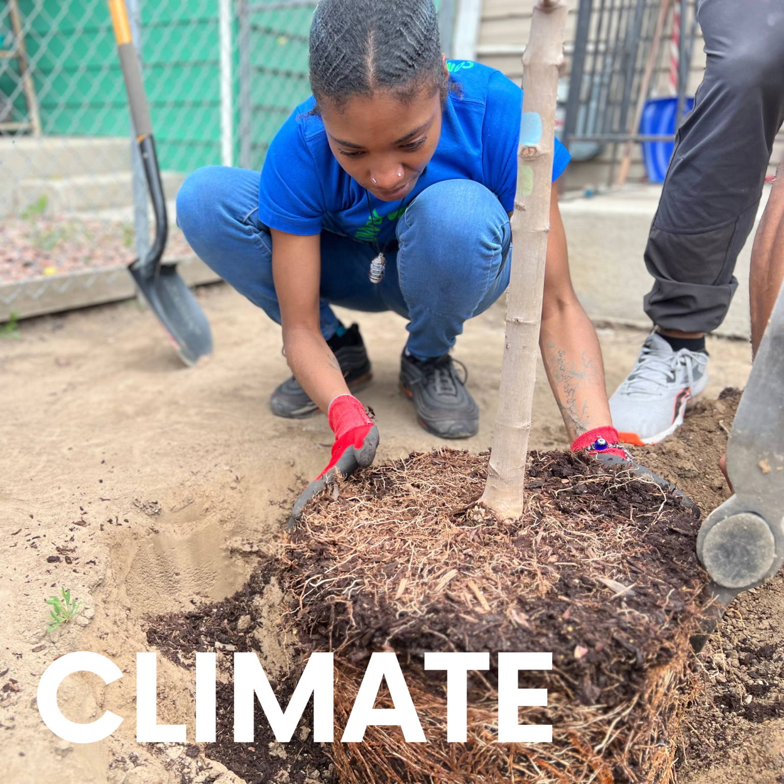Climate Image of young person planting a tree
