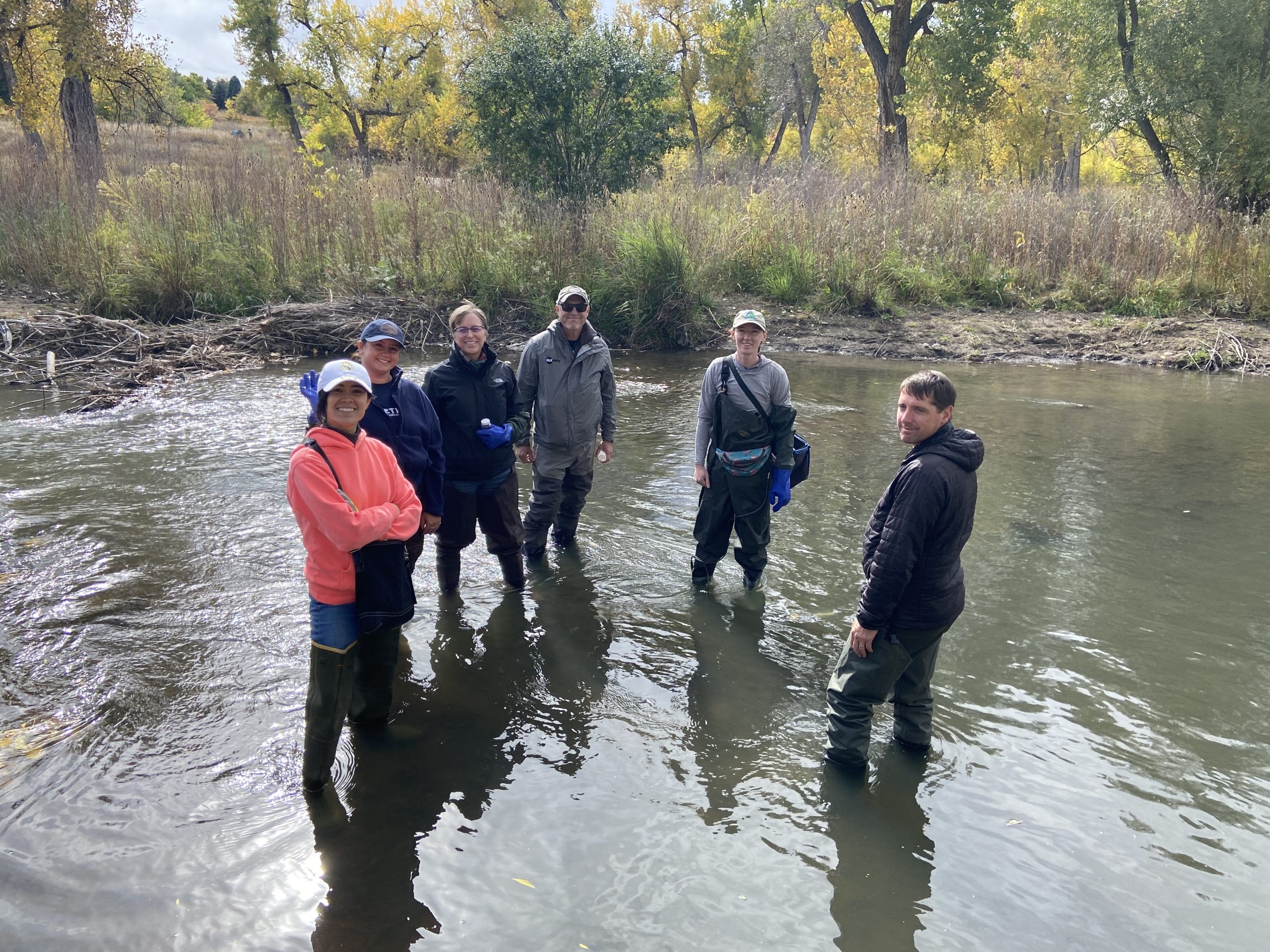 Volunteers wearing waders stand in Lower Bear Creek and smile at the camera.