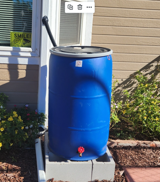 Photo of a blue rain barrel neatly installed next to the downspout that is connected to it with a small hose.