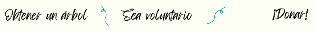 Obtener un árbol ¡Donar! Sea voluntario/gane un estipendio Ampliar