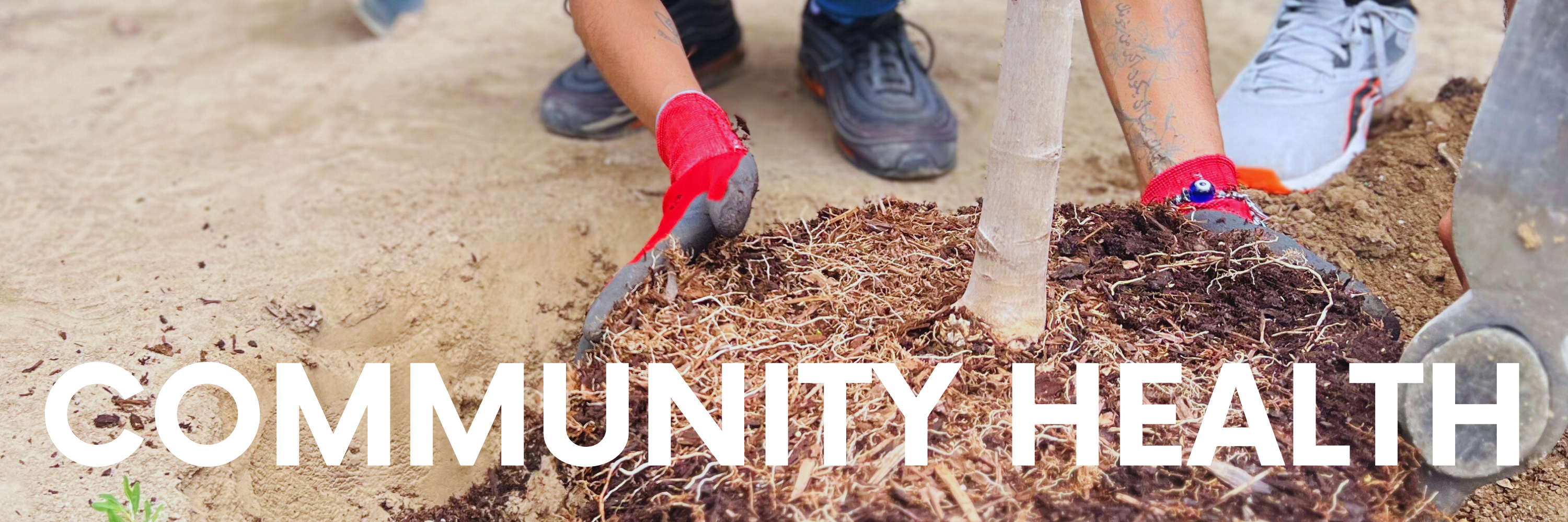 Community Health. Image is a close up of someone's hands planting a tree.