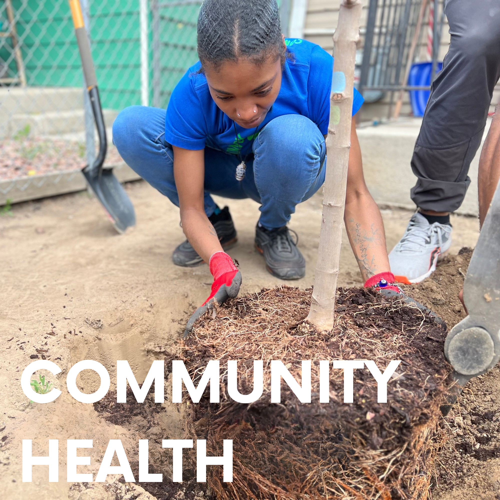 Community Health image of young person planting a tree.