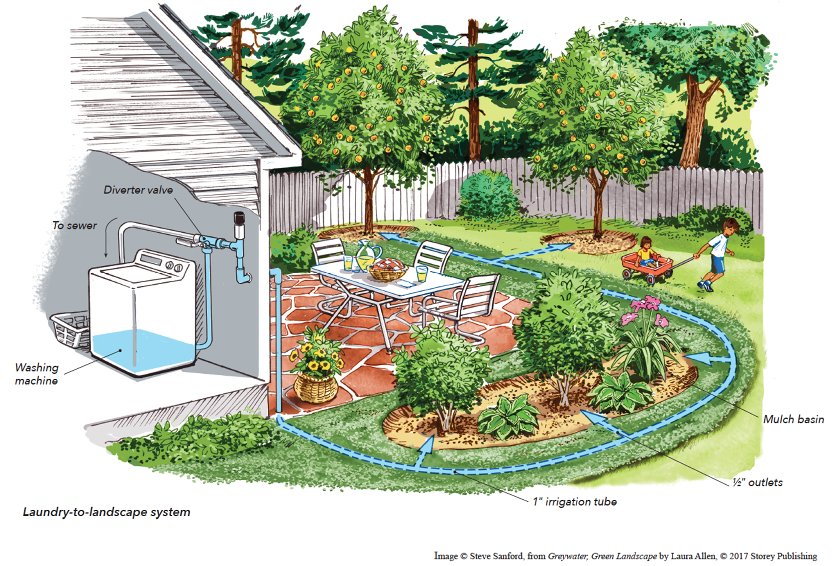 Illustration of a Laundry to Landscape Graywater System from the book Greywater, Green Landscape by Laura Allen. Shows a clothes washing machine in a house and the flow of water outside to the back yard where the water is deposited into mulch basins.