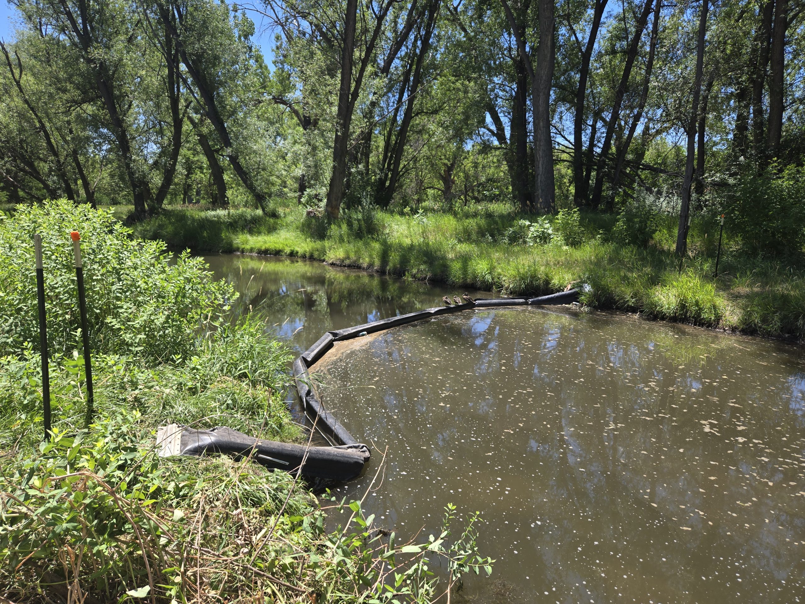 Litter boom located in Bear Creak